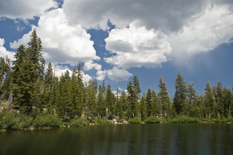 20090728_0015