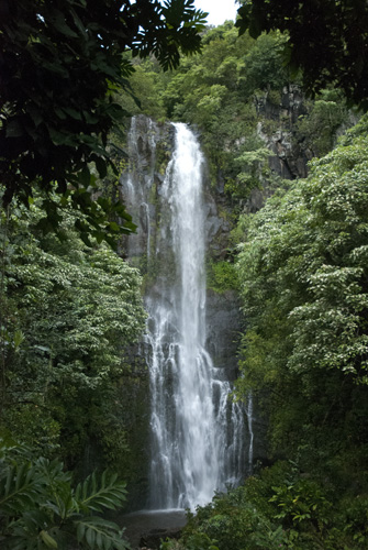 20111214_0071