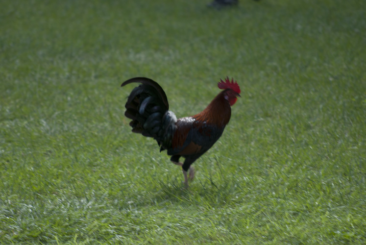 20111218_0049