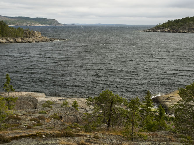 20100713_0132